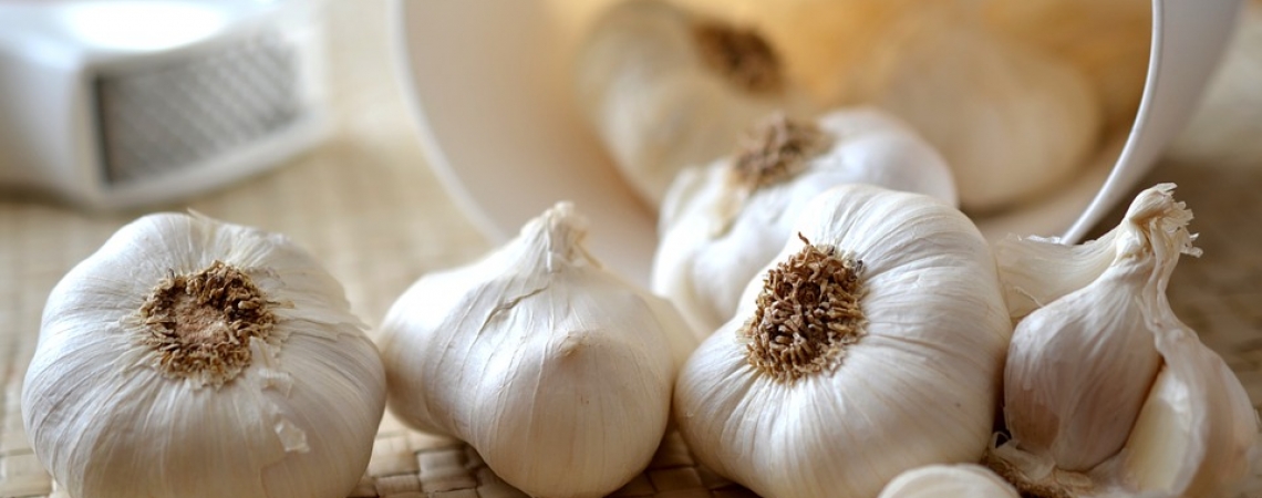 bulbs of garlic